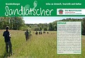Sandlatscher