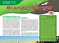 Brandenburger Sandlatscher 1-2024