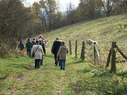 NaturFreunde Wanderung