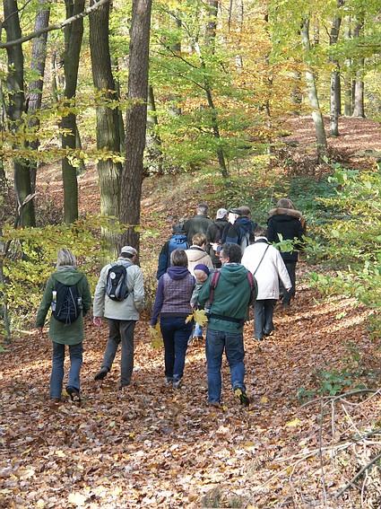 NaturFreunde Umweltbildung