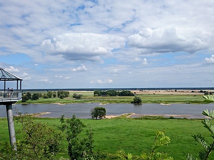 Ein Landschaftsbild der Elbe