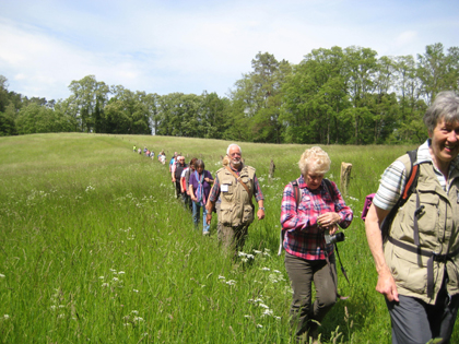 Wandern