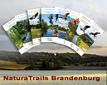 NaturFreunde NaturaTrails im Land Brandenburg